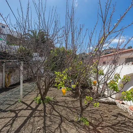 Semesterbostad Bandama Country - 3br With Garden *